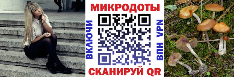 Псилоцибиновые грибы Psilocybe  Новозыбков 